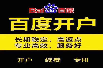 SEO与SEM案例分析：提升网站排名策略
